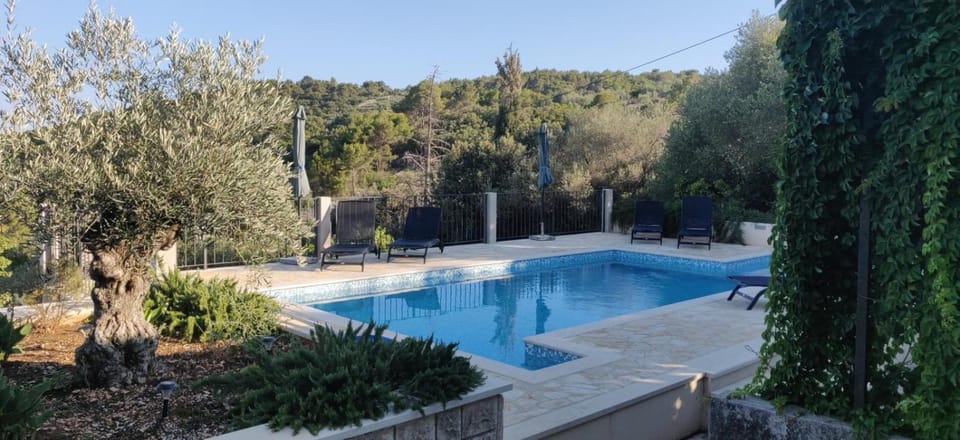 Location, children, Family