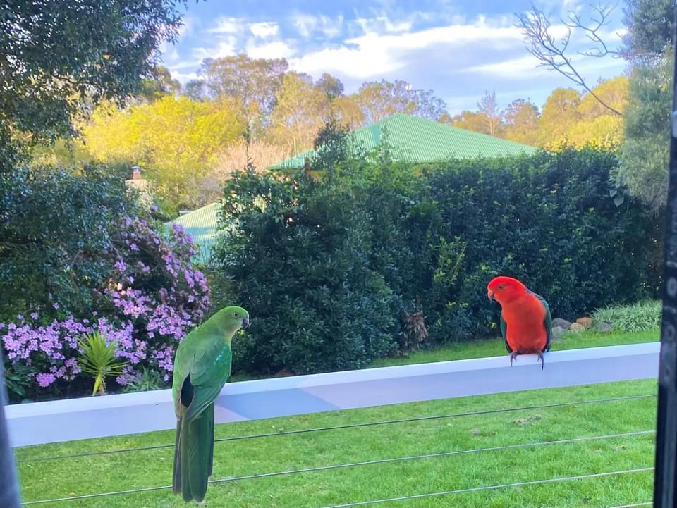Garden view