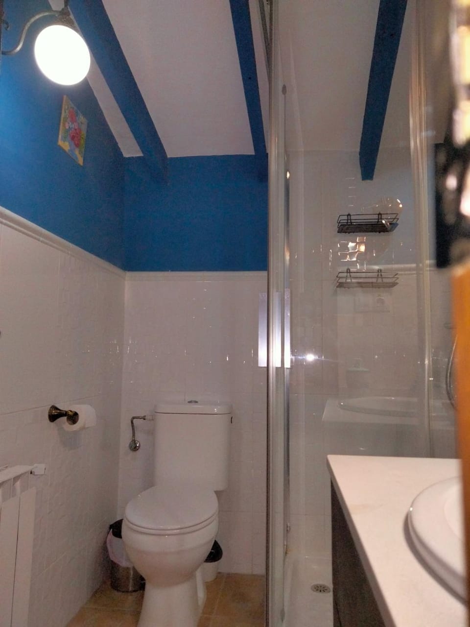 Shower, Toilet