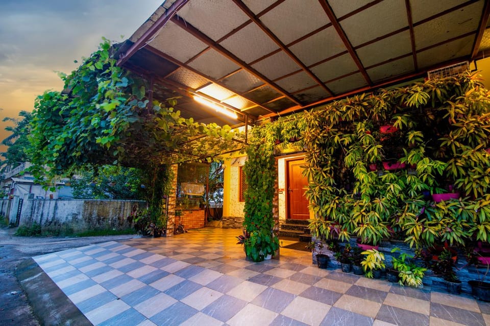 Day, Garden view
