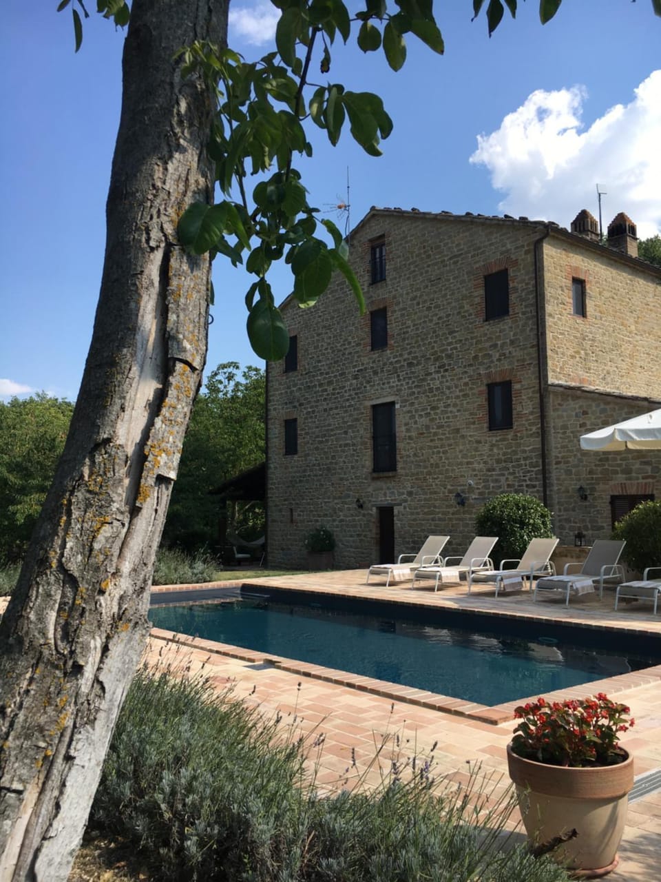 Property building, Swimming pool, Swimming pool, sunbed