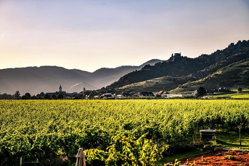 Natural landscape
