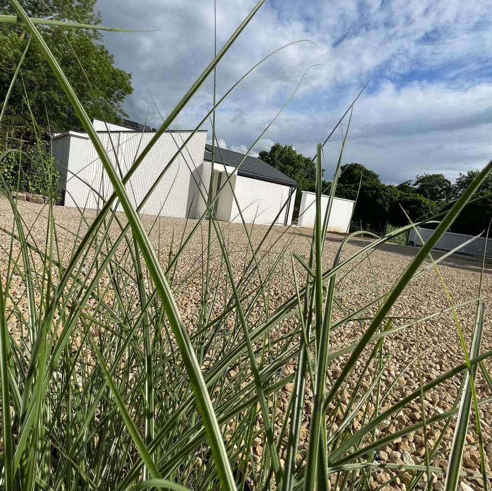 Property building, Facade/entrance, Day, Natural landscape