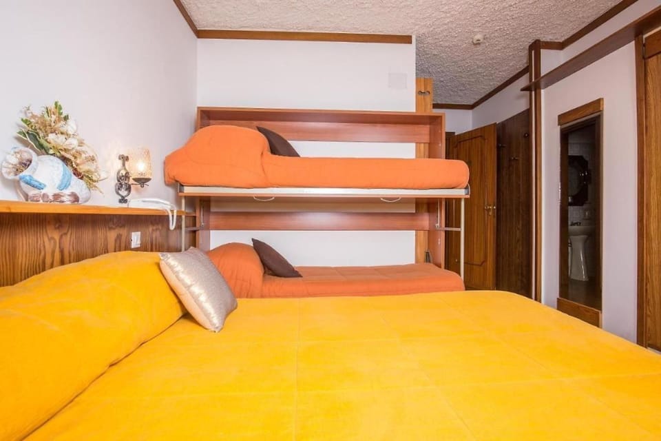 Bed, Photo of the whole room, Bedroom, bunk bed