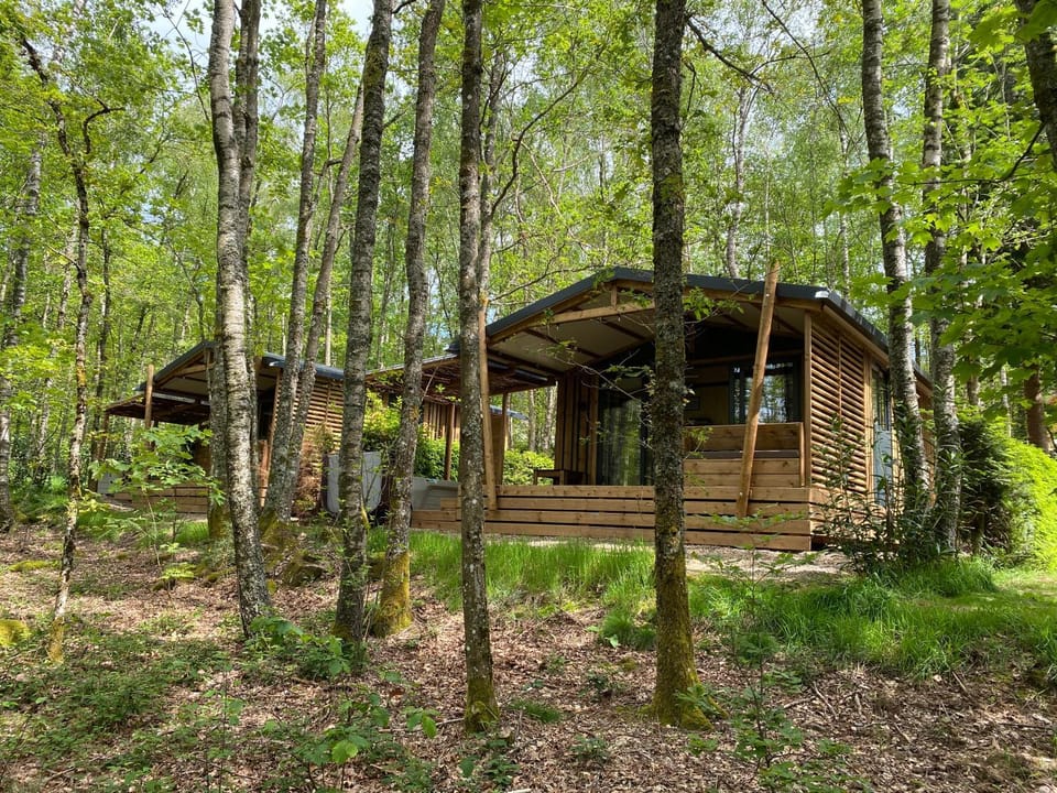 Property building, Spring, Natural landscape, Garden, Garden view