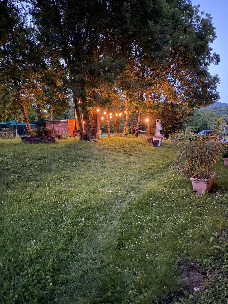 Garden view