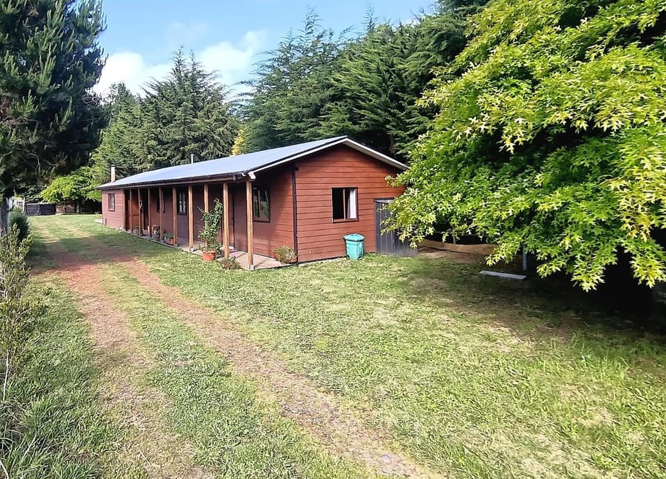 Property building, Garden, Garden view