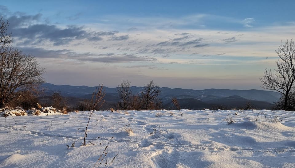 Nyitott Kapu Vendégház Bed and Breakfast in Slovakia