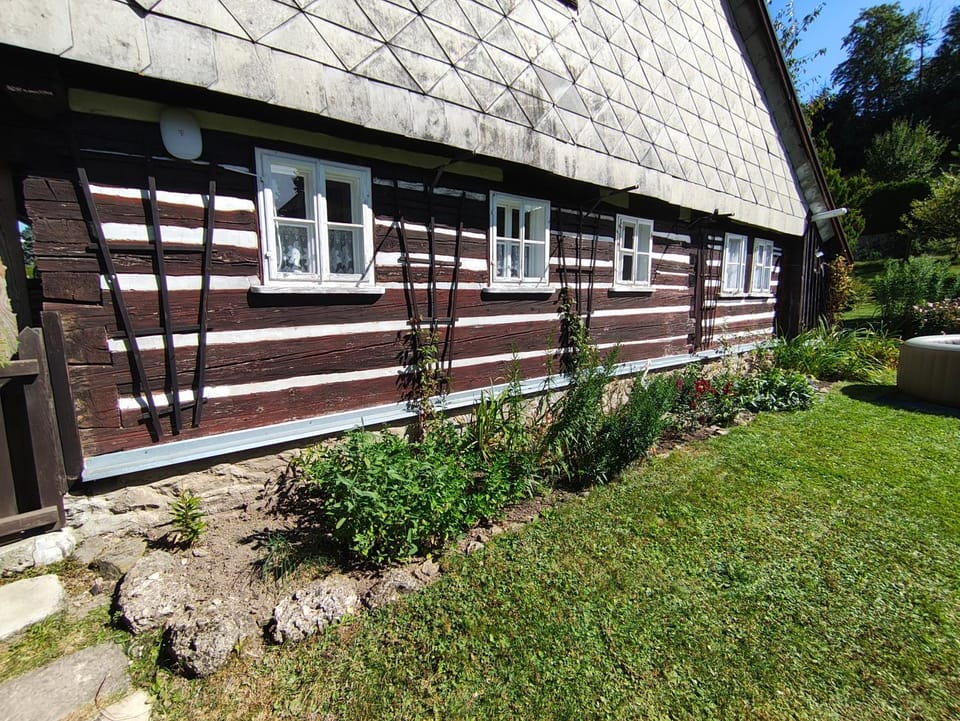 Property building, Spring, Day, Garden