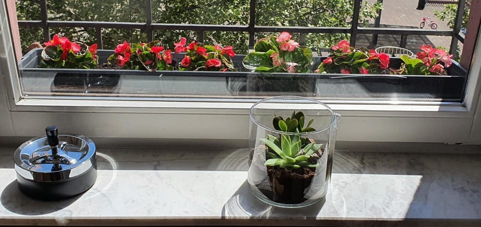 View (from property/room), Balcony/Terrace