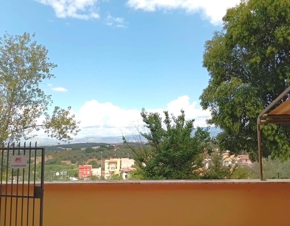 View (from property/room)