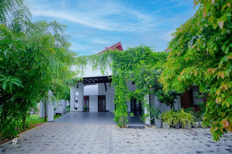 Livin Lush Bed and Breakfast in Sri Lanka