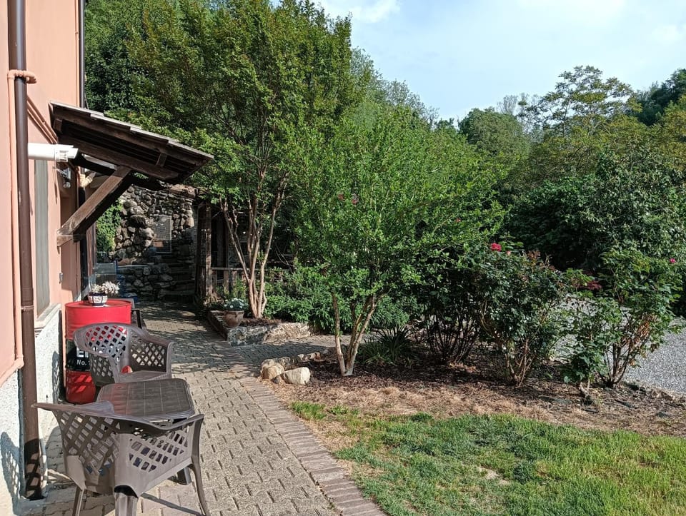 La casa nel bosco, ma a 2 passi dal centro Apartment in Emilia-Romagna