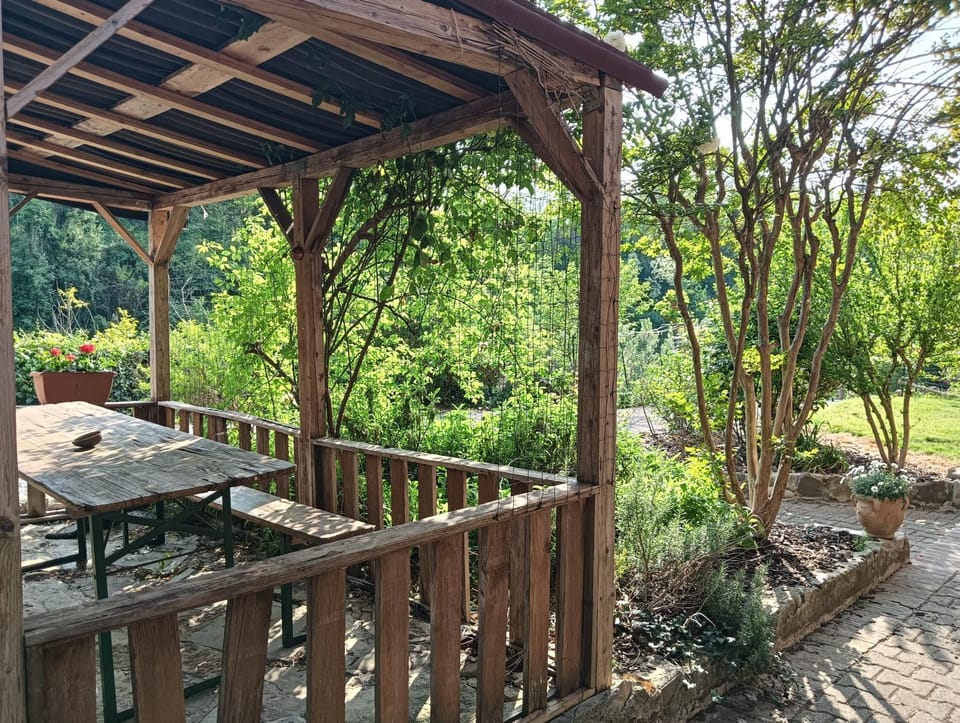 La casa nel bosco, ma a 2 passi dal centro Apartment in Emilia-Romagna
