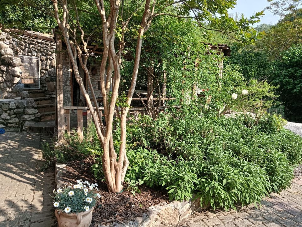 La casa nel bosco, ma a 2 passi dal centro Apartment in Emilia-Romagna