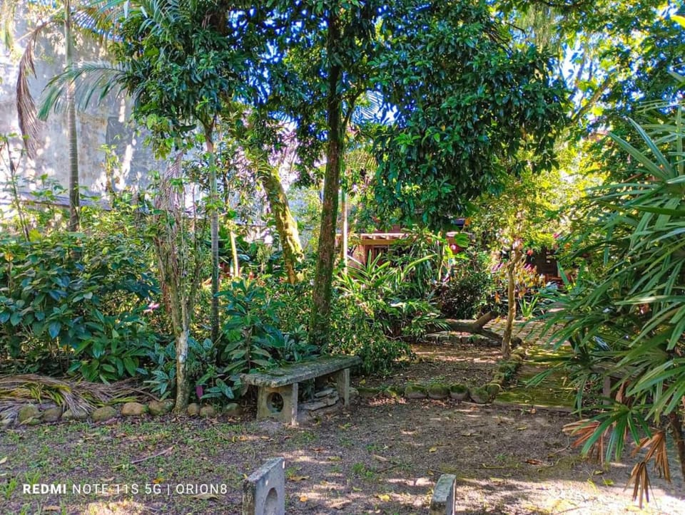 Natural landscape, Garden, Garden view