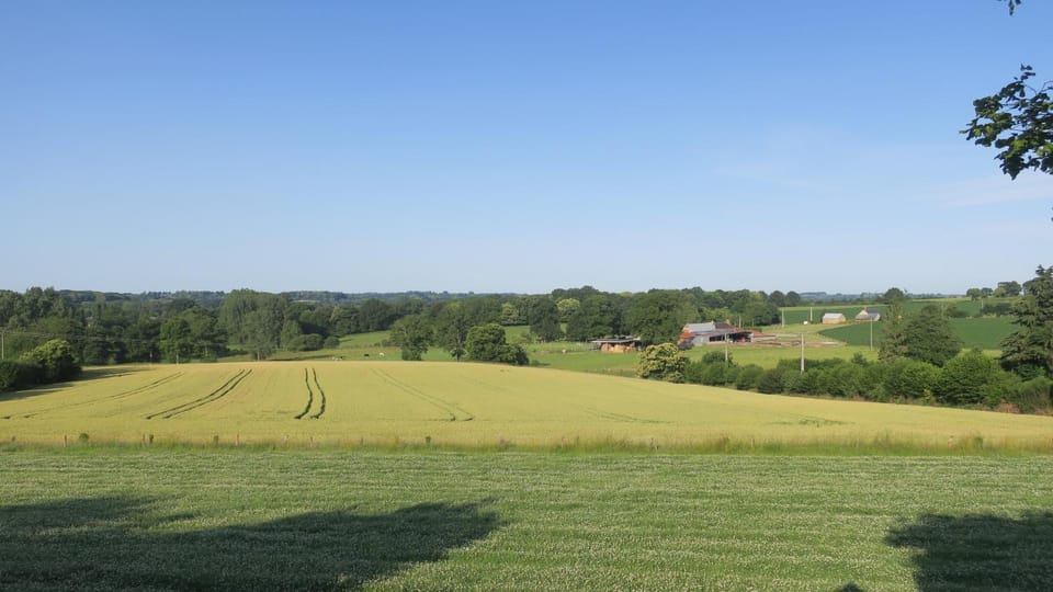 Natural landscape