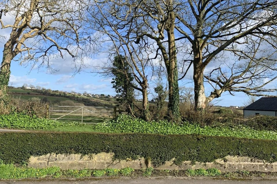 Kilgetty - Apartment - Sleeps 3 - Pet Friendly Apartment in Wales