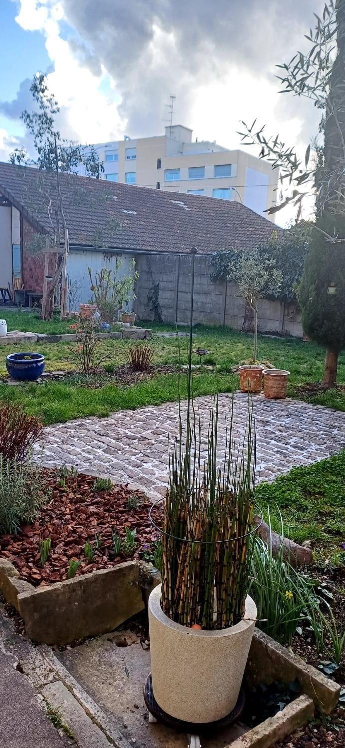 Garden, Garden view