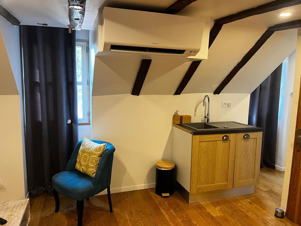 Manoir Drissia - Tours Centre, France Bed and Breakfast in Tours