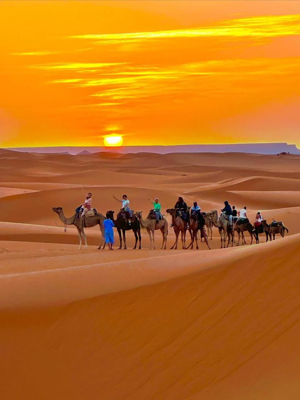 Sahara Berber Luxury Camp Luxury tent in Morocco