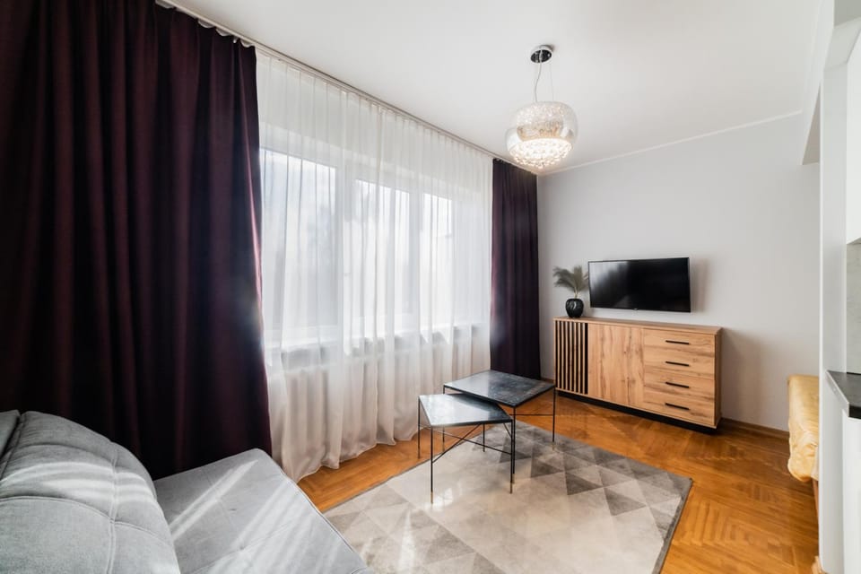 Fox studio apartment Apartment in Lithuania