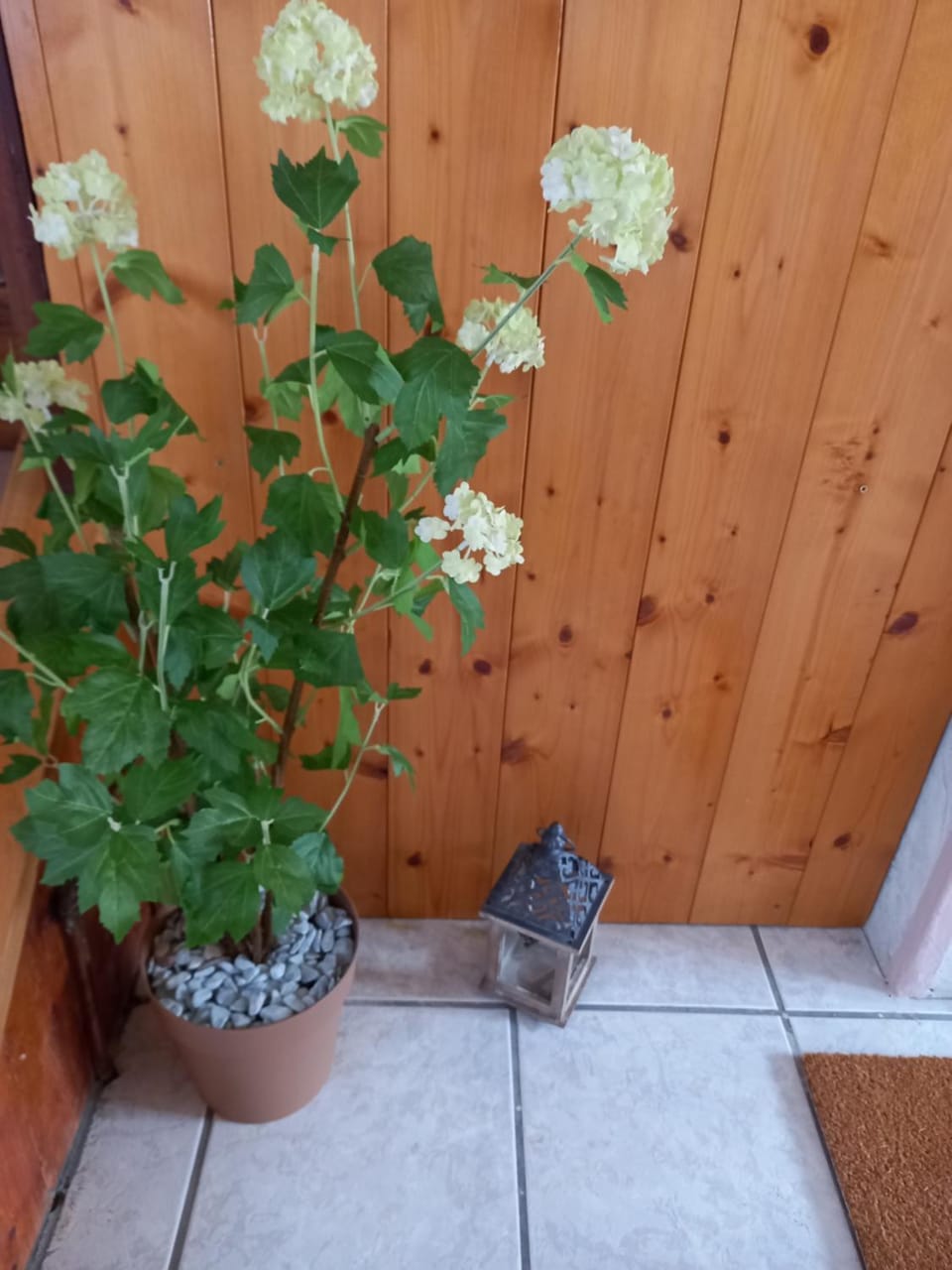 Appartamento 'Io e te' Apartment in Friuli-Venezia Giulia