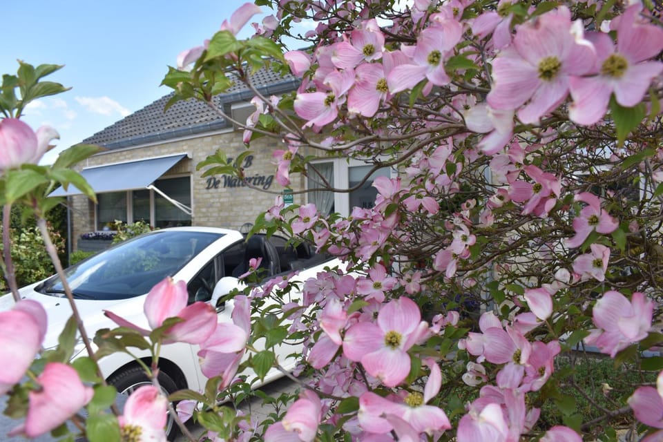 Property building, Garden