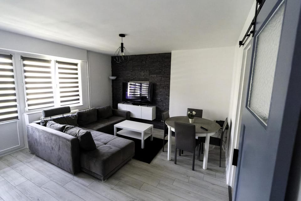 Agréable et Spacieux Appartement lumineux T4 ALSACE Apartment in Mulhouse