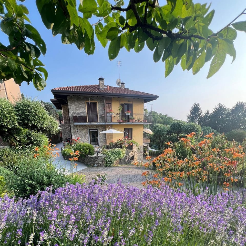 Property building, Spring, Day, Summer, Garden, Garden view