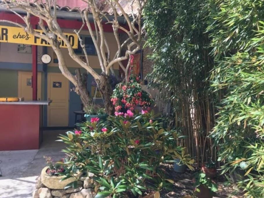 Garden, Garden view