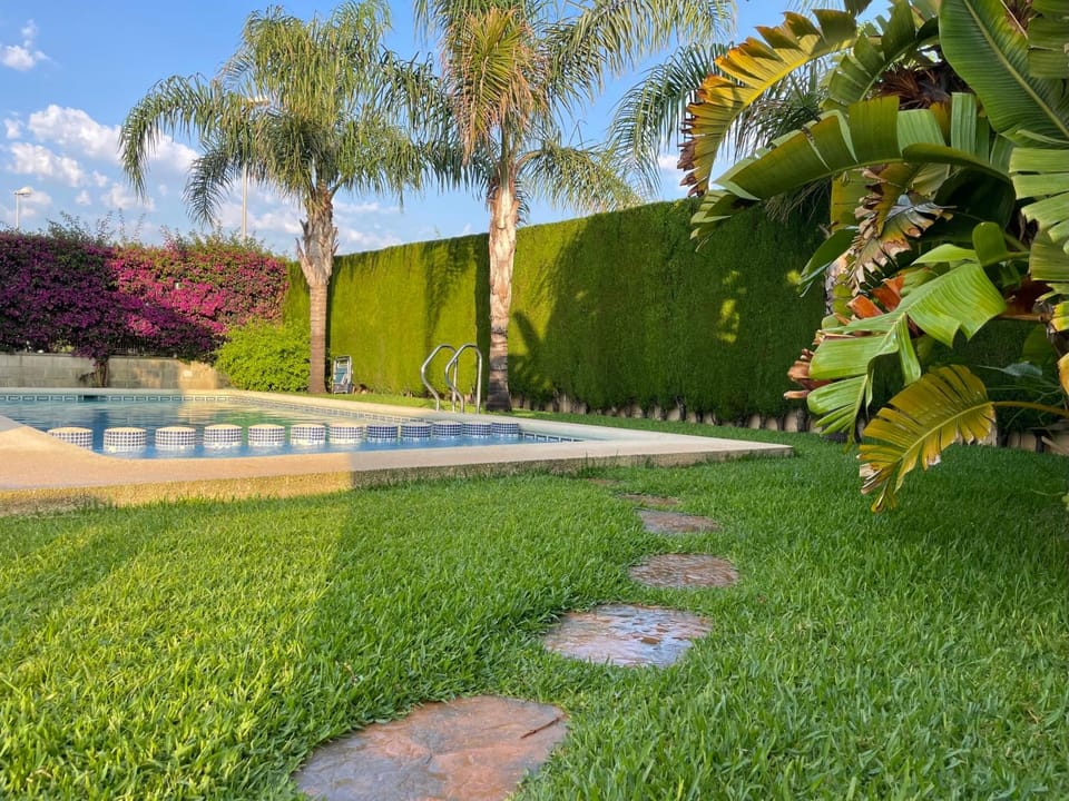 Garden view