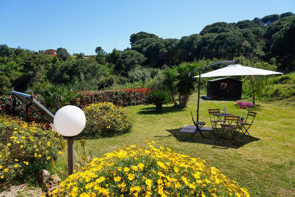 Balcony/Terrace, Garden view