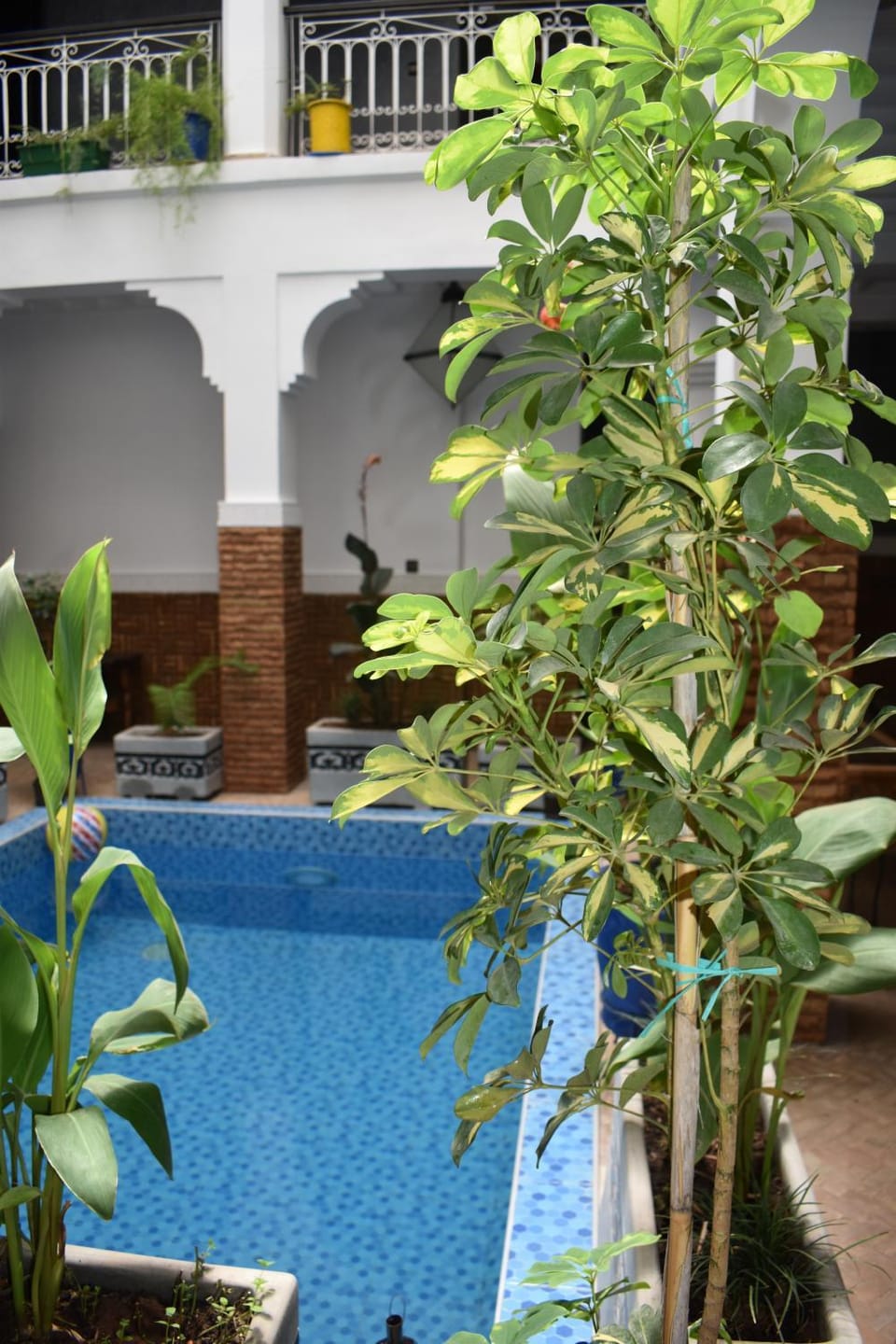 Swimming pool