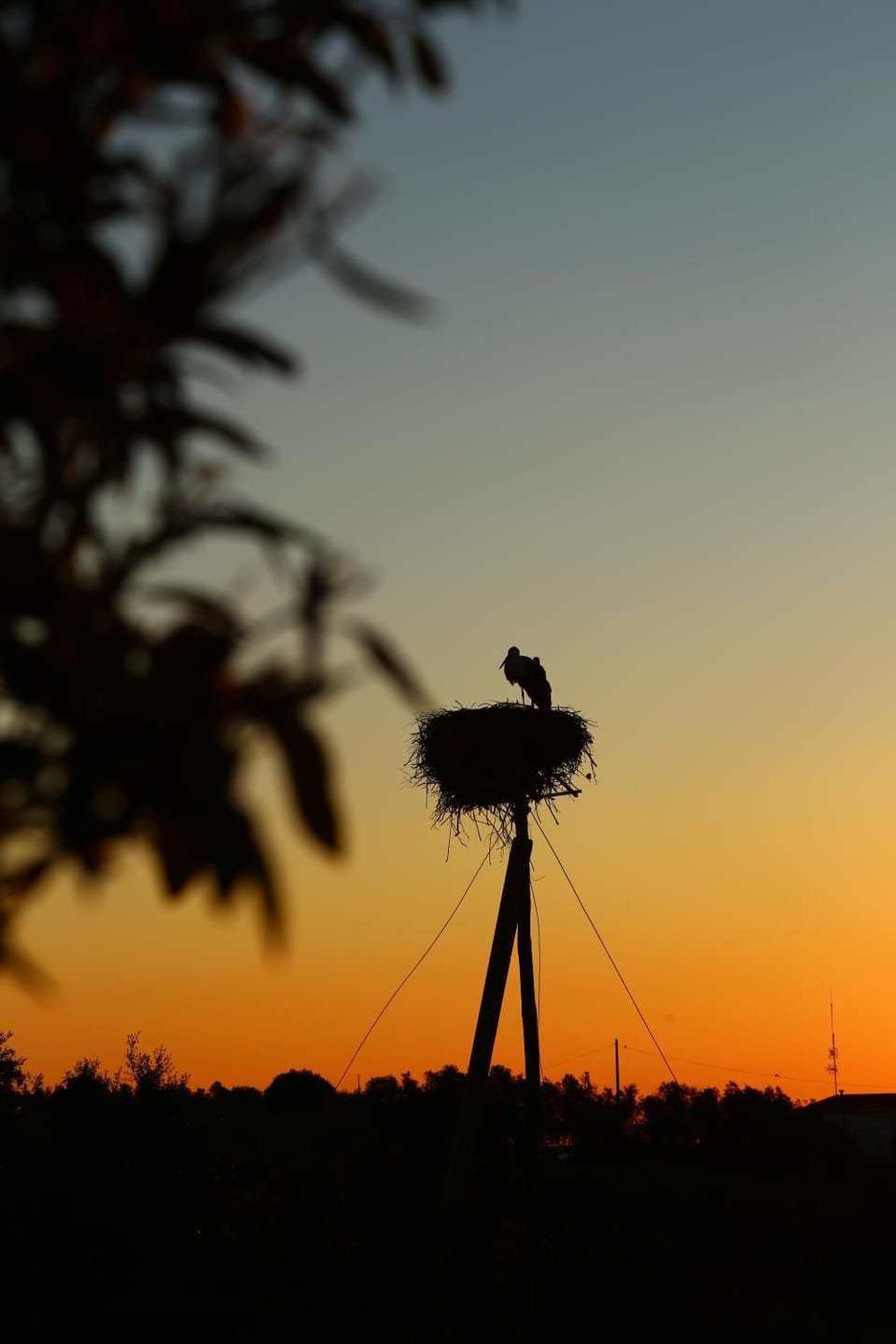 Sunrise, Sunset