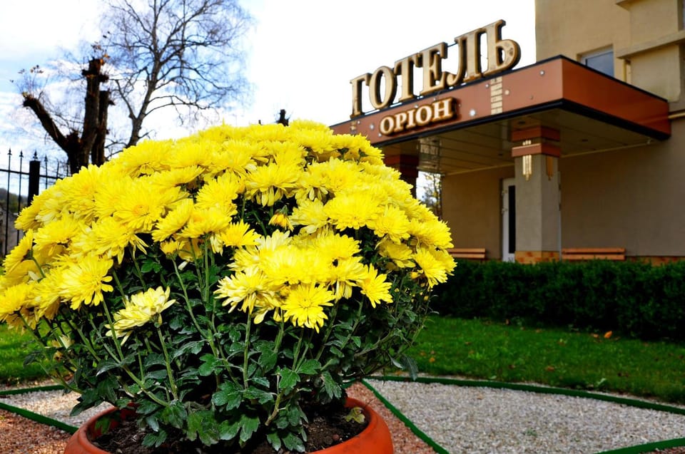 Hotel Orion Hotel in Lviv Oblast