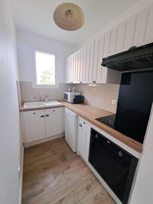 Kitchen or kitchenette, dishwasher, minibar, stove, toaster