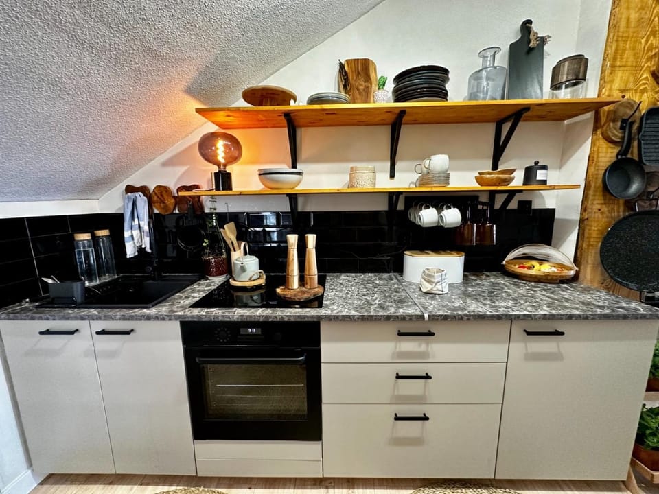 Kitchen or kitchenette, pet friendly