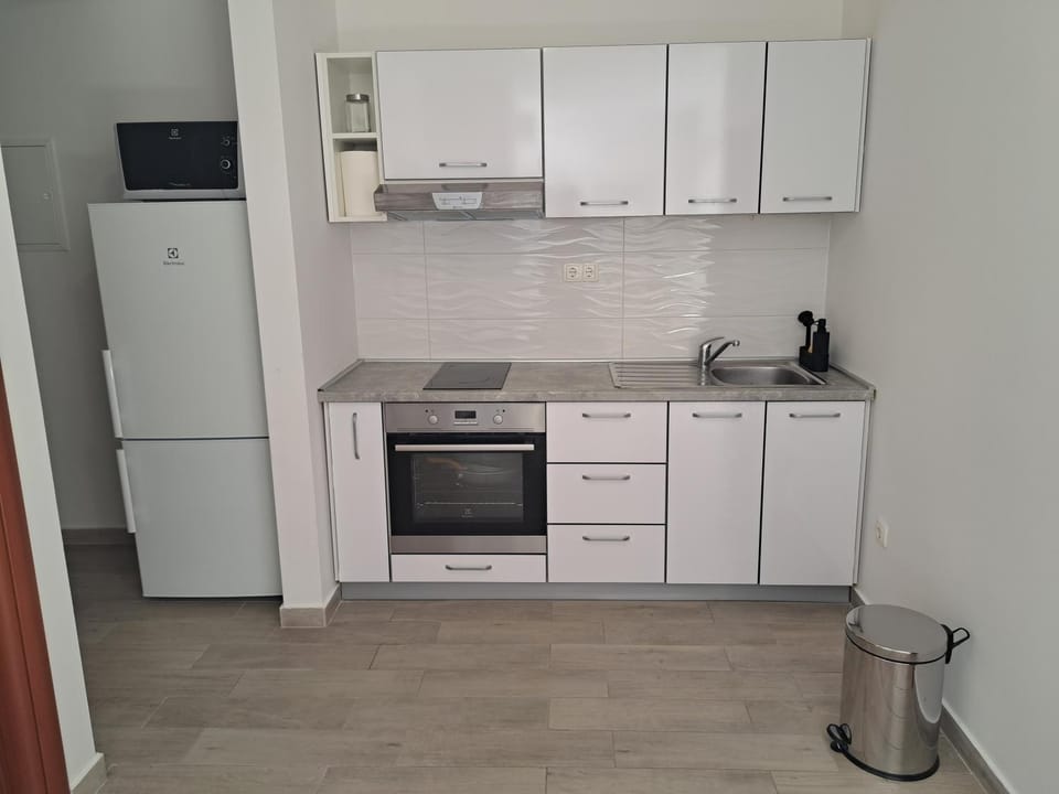 Kitchen or kitchenette, minibar, pet friendly, stove