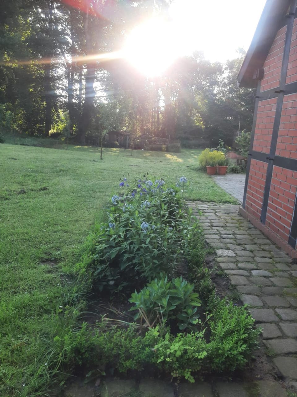 Garden view