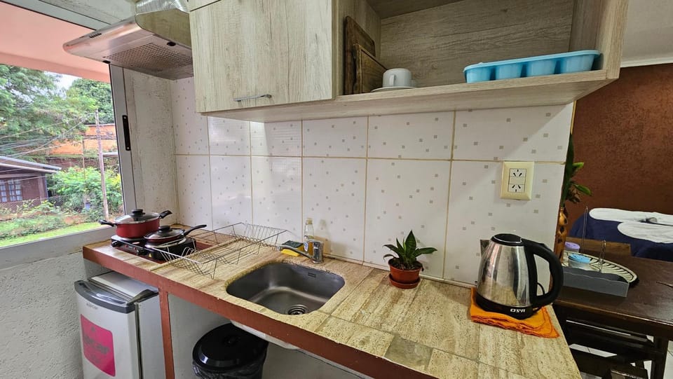 Kitchen or kitchenette, kitchen