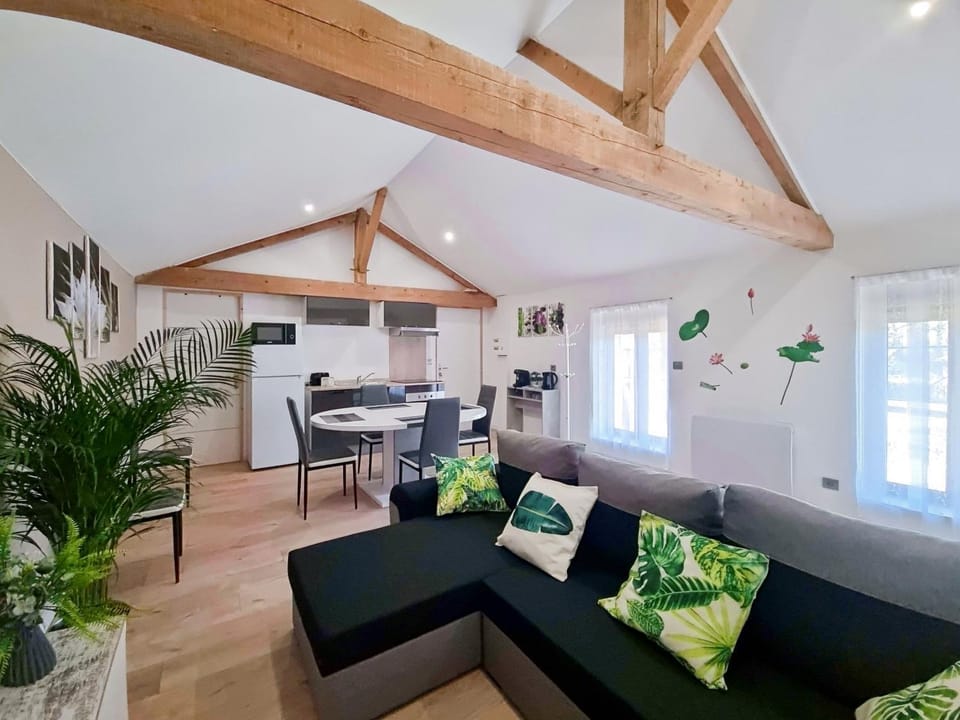 Kitchen or kitchenette, Living room, Seating area, Dining area