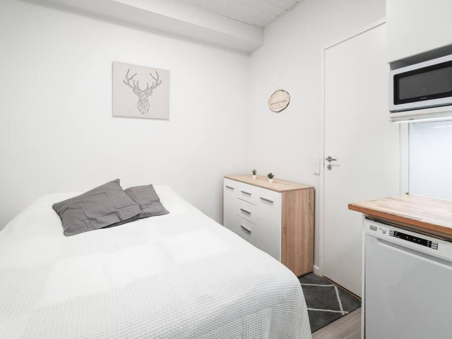Charming Spacios Studio at Kallio Apartment in Helsinki