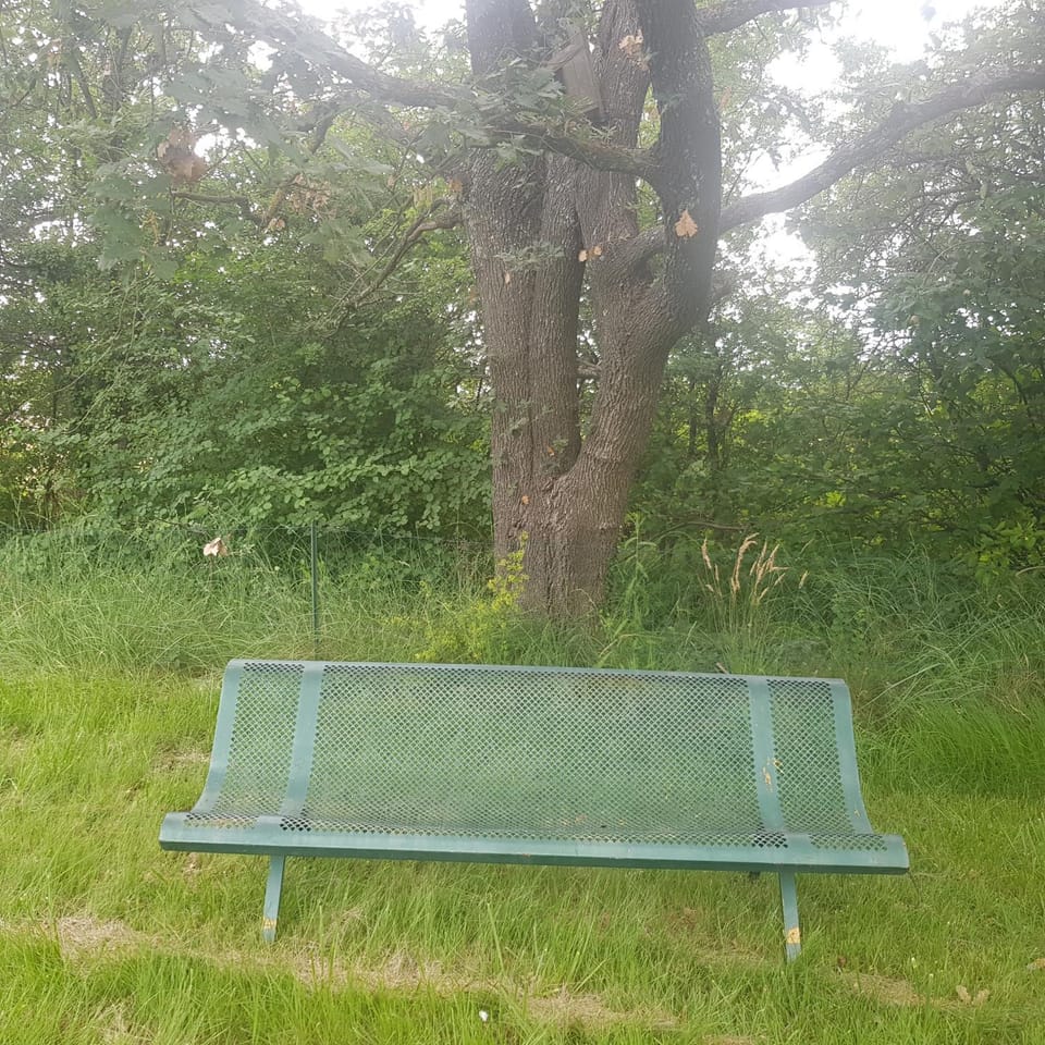 Natural landscape, Garden, Garden view