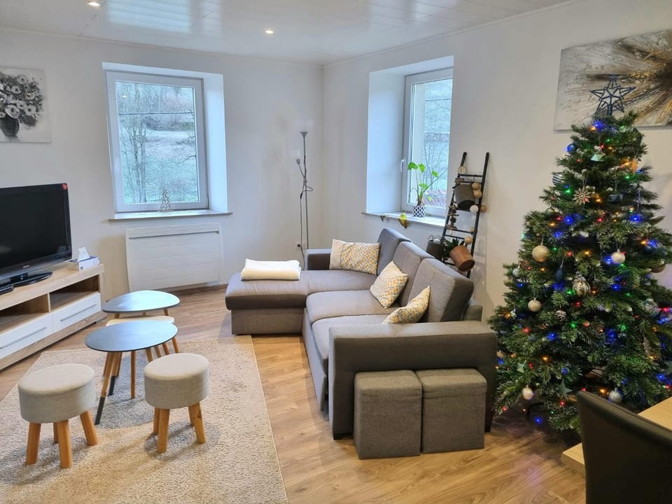 Appartement chaleureux 80m2 Apartment in Orbey