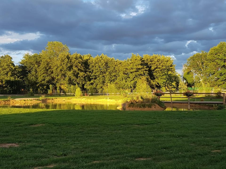 Spring, Natural landscape, Fishing