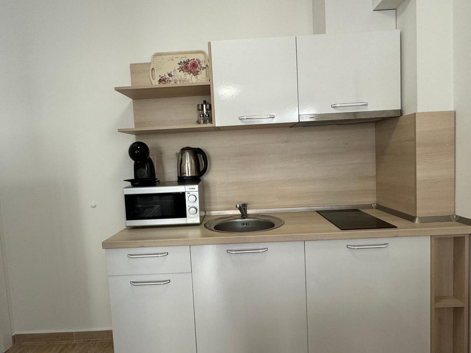 Coffee/tea facilities, Kitchen or kitchenette, minibar, oven, pet friendly, stove, toaster