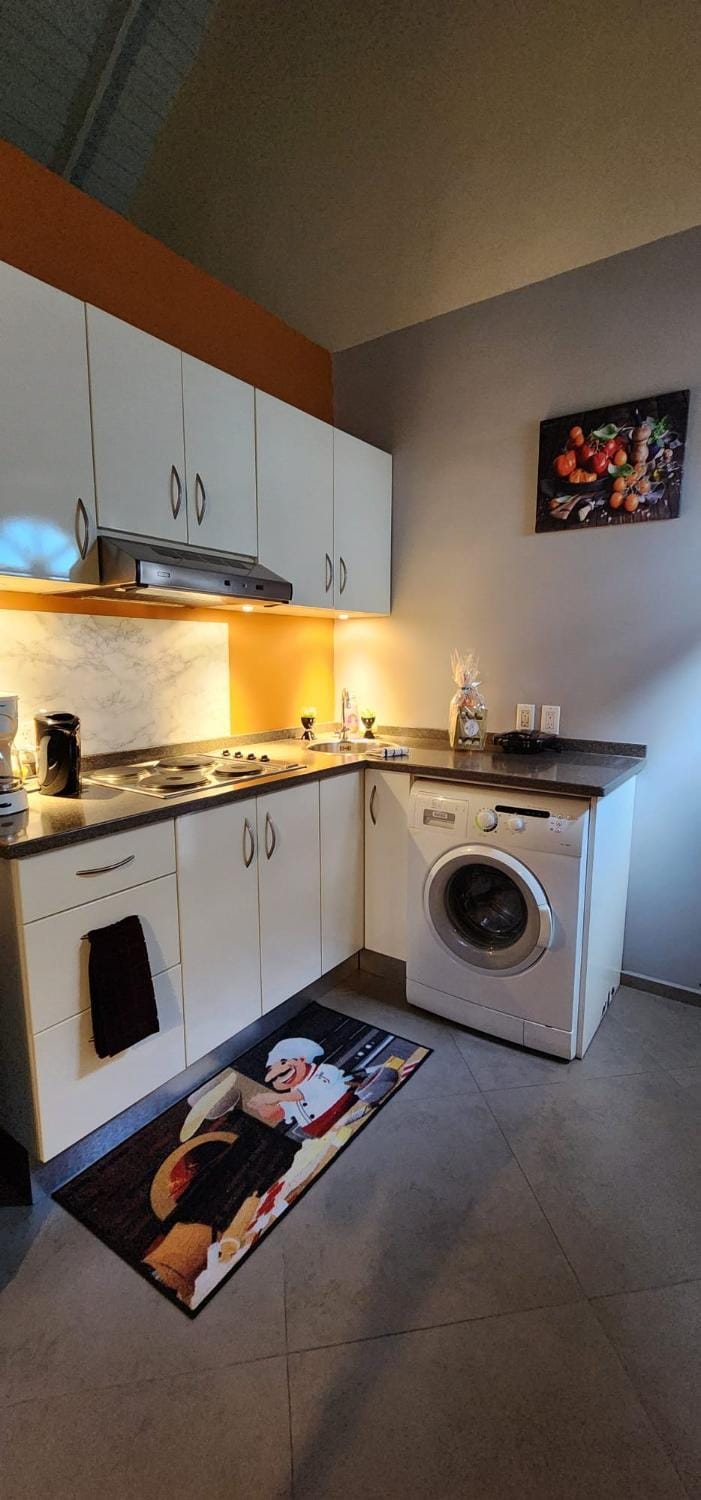 Kitchen or kitchenette, kitchen