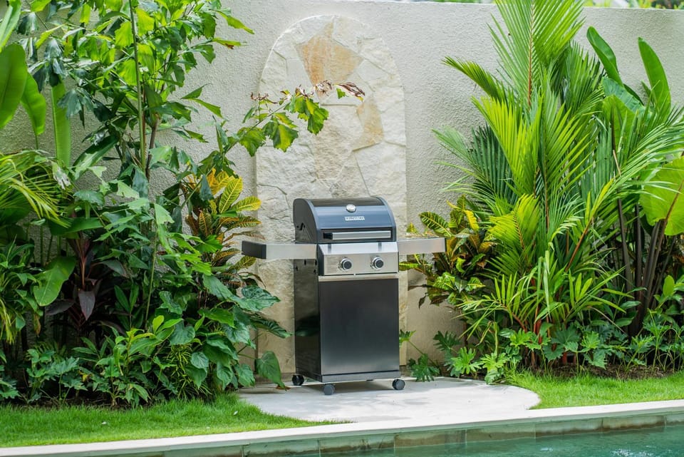 BBQ facilities, Garden, Garden view