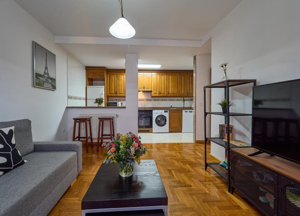 TV and multimedia, Kitchen or kitchenette, Living room, Dining area, dishwasher, oven, pet friendly, toaster, washing machine